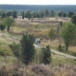 Lünebergerheide